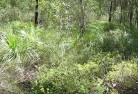 Barringun NSWsustainable-landscaping-21.jpg; ?>